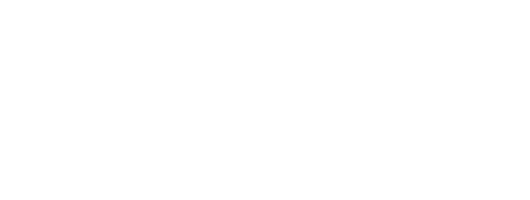 Zonic | Marek Bešta - logo 